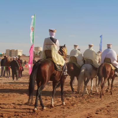مهرجان برج بن عزوز السنوي للفروسية والبارود 