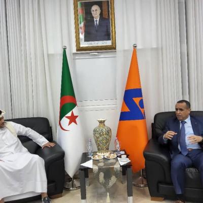 سونلغاز/مشروع "بلدنا" لإنتاج الحليب 