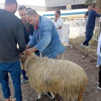 عيد الأضحى 