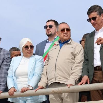 مراد