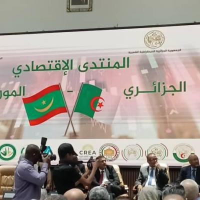 الجزائر موريتنيا 
