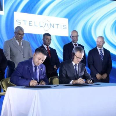 مجمع ستيلانتيس الجزائر