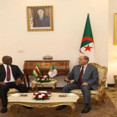 عمر بلحاج