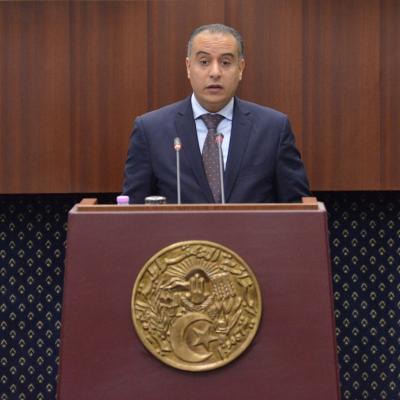 apn_walid-sadi.jpg