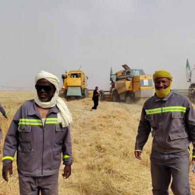 حملة الحصاد والدرس