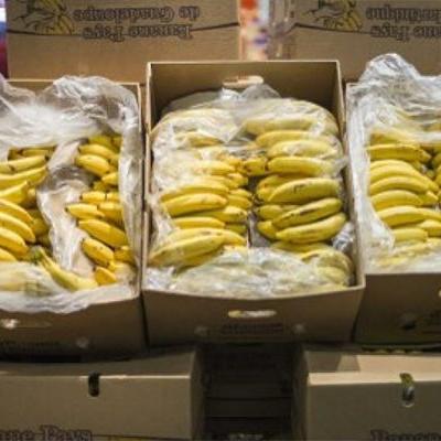 importations-bananes.jpg