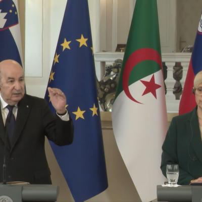 Tebboune Natasa CDP
