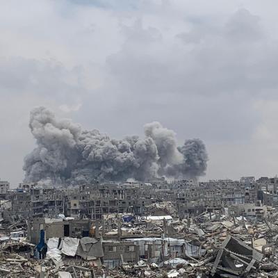 فلسطين 