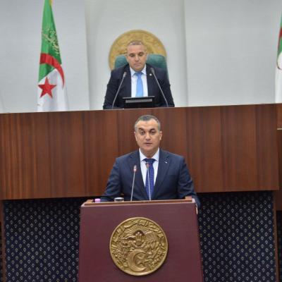 سيد علي زروقي 