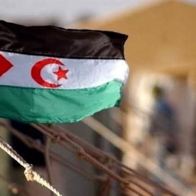 الدورة 59 لمجلس حقوق الانسان، تصفية الاستعمار من الصحراء الغربية