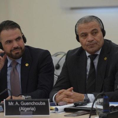 Conseil de la nation UIP