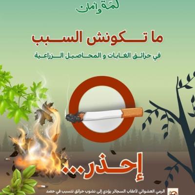 الوقاية من حرائق الغابات : وزارة الداخلية تدعو المواطنين إلى التبليغ الفوري عن نشوب الحرائق الوقاية من حرائق الغابات : وزارة الداخلية تدعو المواطنين إلى التبليغ الفوري عن نشوب الحرائق