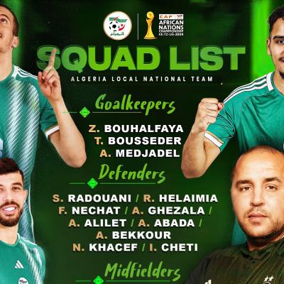 المنتخب الوطني المحلي 