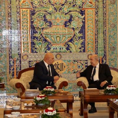 Le président de la République s'entretient avec son homologue libanais