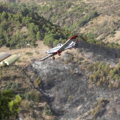Bordj Bou Arreridj : 10 avions de lutte contre les incendies participent à l’extinction d’un feu dans la commune de Theniet En-Nasr