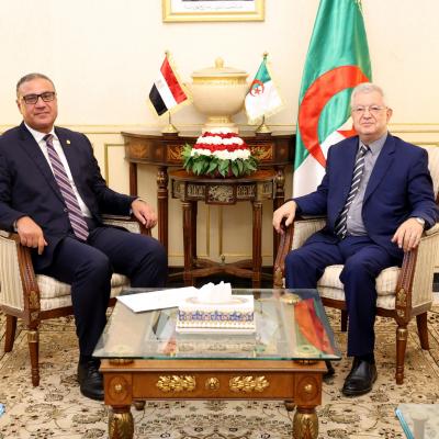 Nasri reçoit l'ambassadeur d'Egypte en Algérie