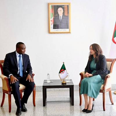 Mansouri reçoit le directeur de la facilitation du commerce et de la promotion des investissements à Afreximbank