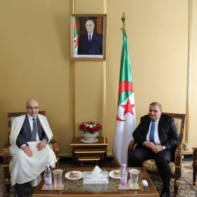 عدالة / لقاء 