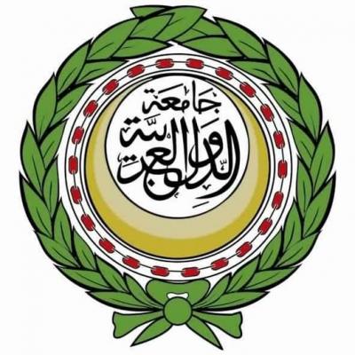 جامعة عربية 