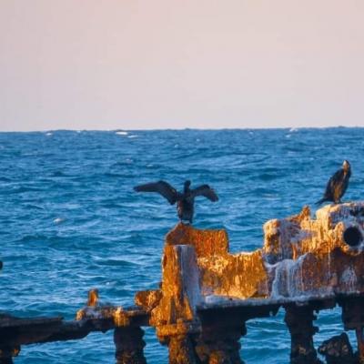 شاطئ الباخرة المحطمة برأس جنات