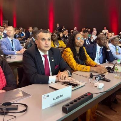 Zerrouki SMSI WSIS 20
