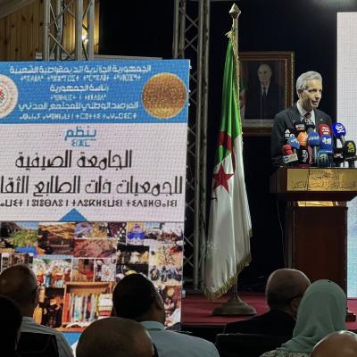 وزير الثقافة والفنون
