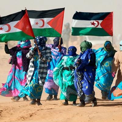 الصحراء الغربية