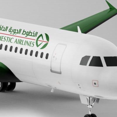 domestic-airlines.jpeg