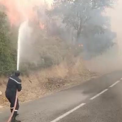 Feu Chréa