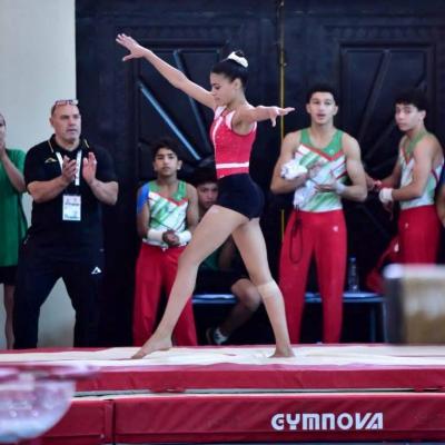 jsa-gymnastique-artistique.jpg