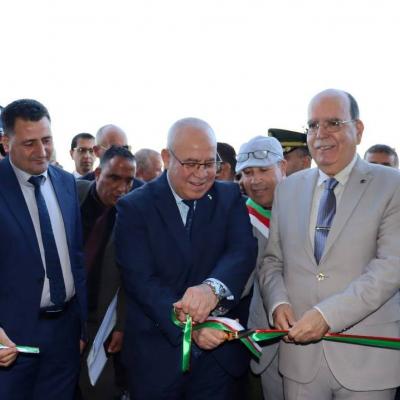 السيد شرفة يشرف من بجاية على إطلاق الحملة الوطنية لجني دوار الشمس