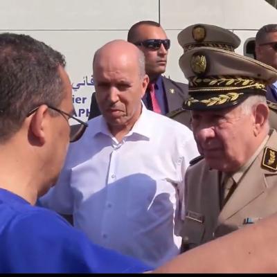 شنقريحة 