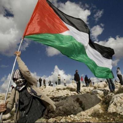 فلسطين 