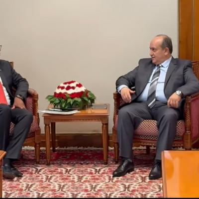 الوزير الأول بالنيابة يستقبل وزير التجارة والصناعة والمنافسة لجمهورية جنوب إفريقيا