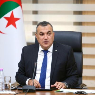 سيد علي زروقي