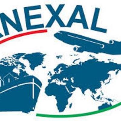 Anexal