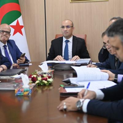 شايب يشرف على لقاء افتراضي مع مجموعة من الكفاءات الوطنية المقيمة  بالدول الاسكندنافية