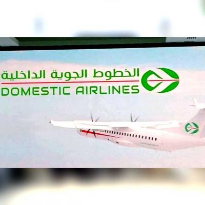 Domestic Airlines