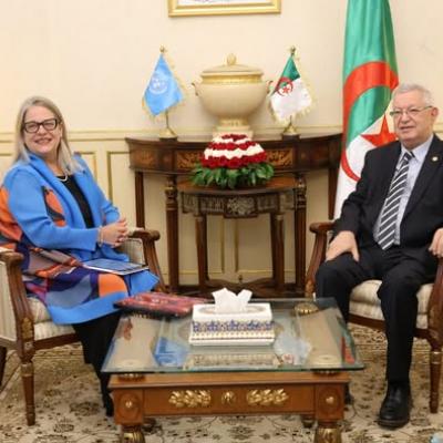 ناصري يستقبل السفيرة المنسقة المقيمة لمنظمة الأمم المتحدة بالجزائر