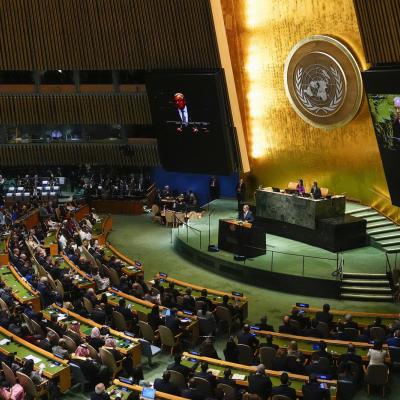 Assemblée générale des Nations unies