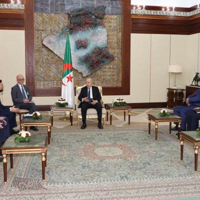 رئيس الجمهورية يستقبل رئيس منظمة أرباب الأعمال الروسية
