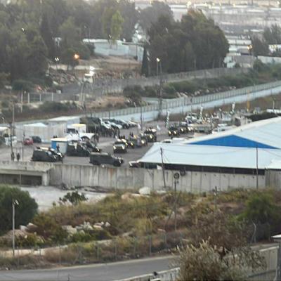 فلسطين 