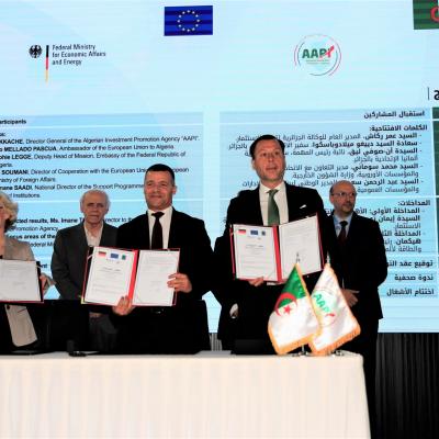 الوكالة الجزائرية لترقية الاستثمار