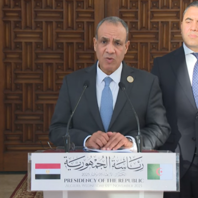 بدر عبد العاطي