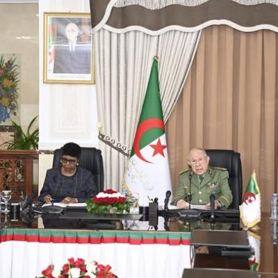 الفريق أول شنقريحة يستقبل وزيرة الدفاع وقدماء المحاربين لجمهورية زيمبابوي 