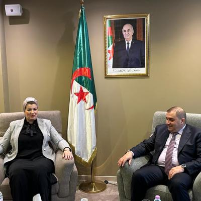 اليوم العالمي للقضاء على العنف ضد المرأة