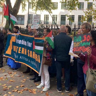 الصحراء الغربية 