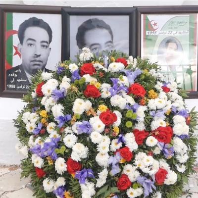 البطل بشير بوقادوم