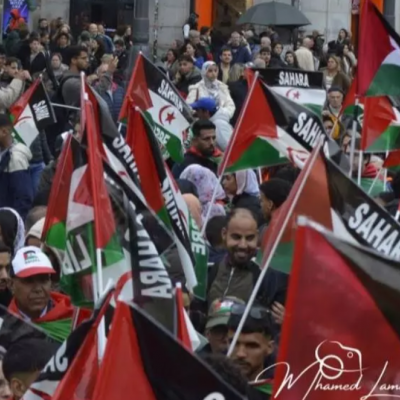 الصحراء الغربية