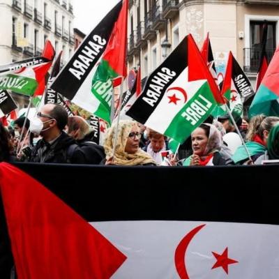 الصحراء الغربية